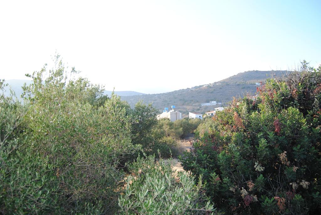 Sailors Apartments Elounda  Exterior photo